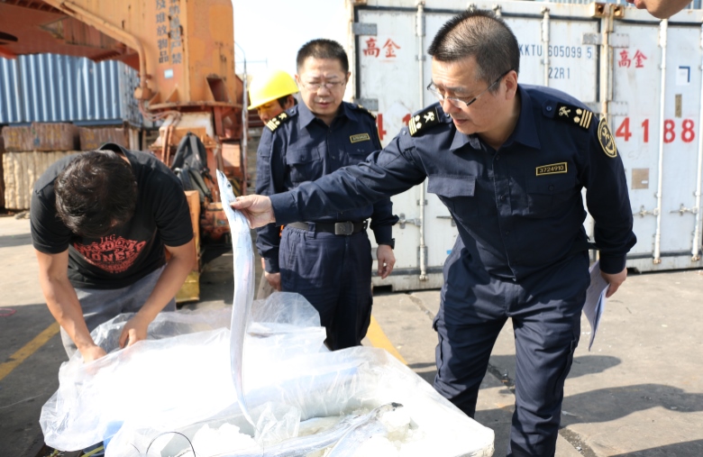 厦门海关人员正在查验从台湾运来的新鲜水产。