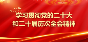学习贯彻党的二十大和二十届历次全会精神